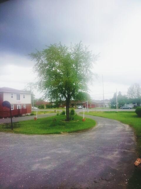 Welcome Traveller Motel Kingston Exterior foto